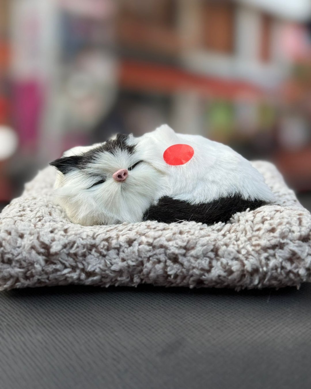Manifested Decor Sleeping Cat Plush Toy with Press Simulation Sound, Stuffed Cat Animal Fur Soft Toys with Sound for Kids and Car Dashboard