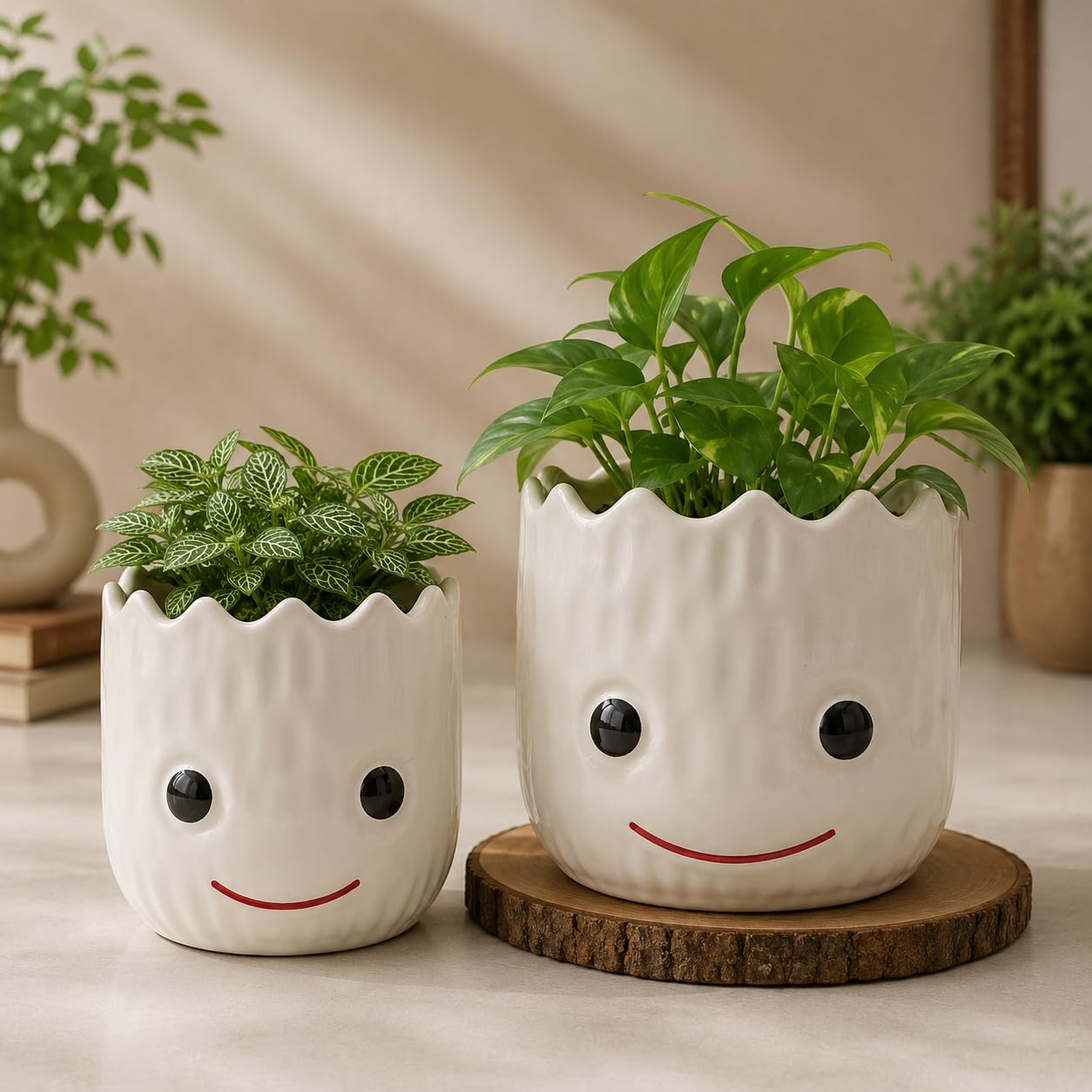 Ceramic Planter Set of 2 with Groot Face Design
