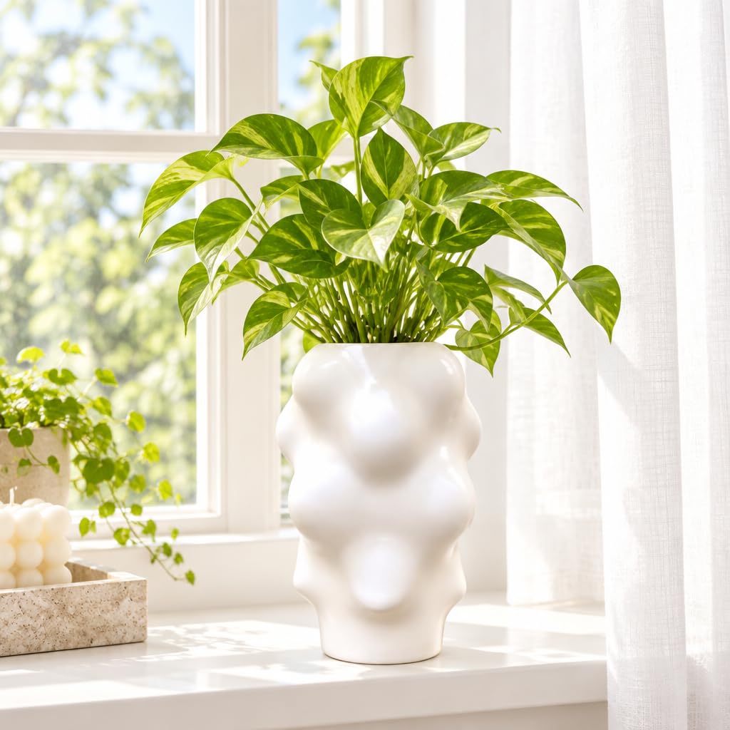Ceramic Curved Flower vase for Home Decor – view 3