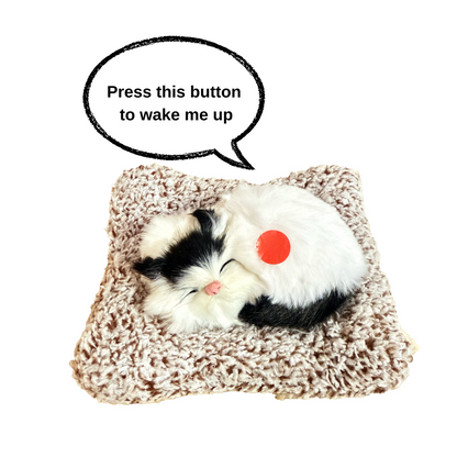 Manifested Decor Sleeping Cat Plush Toy with Press Simulation Sound, Stuffed Cat Animal Fur Soft Toys with Sound for Kids and Car Dashboard
